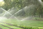 Edillilielandscaping-water-management-and-drainage-17.jpg; ?>